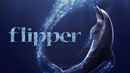 Flipper Poster 7