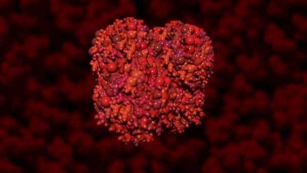 Flock of Dodos: The Evolution-Intelligent Design Circus Poster 1