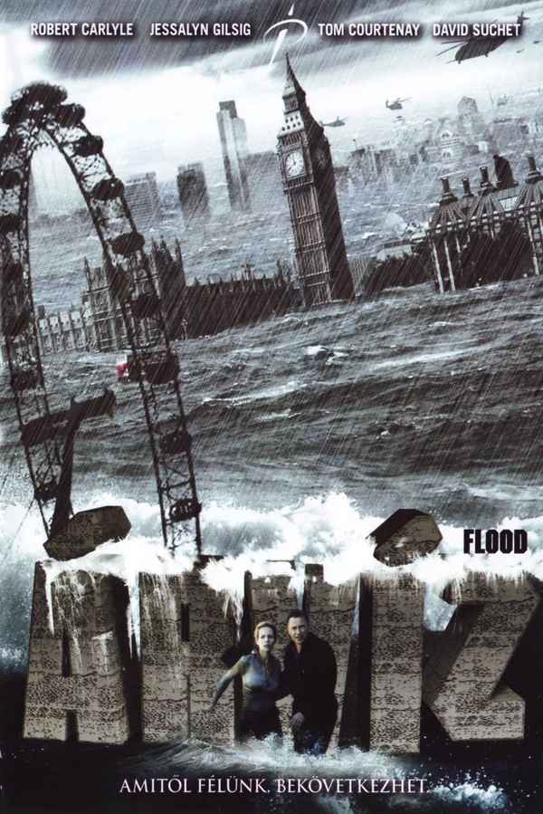 Flood Poster 6
