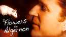 Flowers for Algernon Poster 5