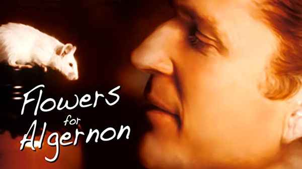 Flowers for Algernon Poster 5