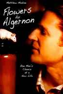 Flowers for Algernon Poster 6