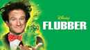 Flubber Poster 6