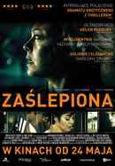 Flying Blind Poster 2