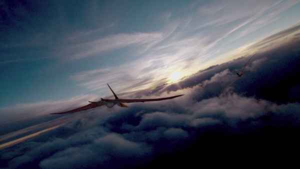 Flying Monsters 3D with David Attenborough Poster 1