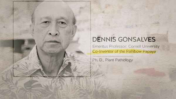 Food Evolution Poster 6