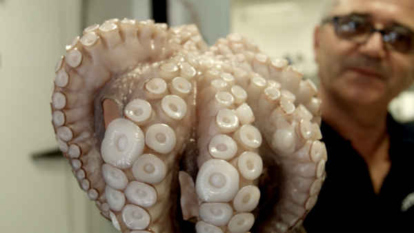 Food on the Go Poster 5