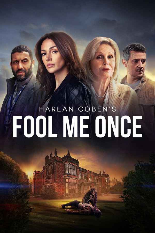 Fool Me Once Poster 4