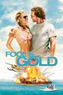 Fool's Gold Poster 2