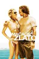 Fool's Gold Poster 1