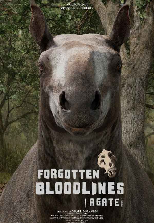 Forgotten Bloodlines: Agate Poster 3