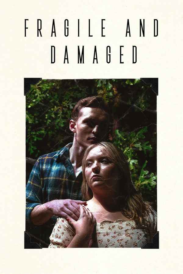 Fragile and Damaged Poster 2