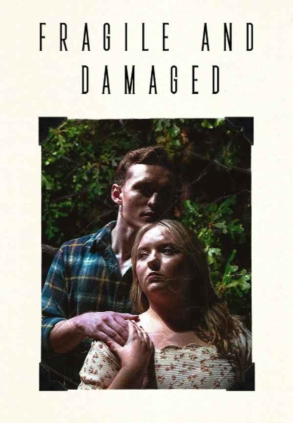 Fragile and Damaged Poster 3