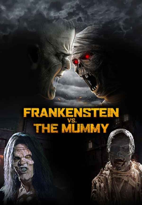 Frankenstein vs The Mummy Poster 6