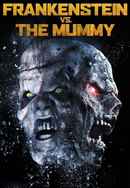 Frankenstein vs The Mummy Poster 7