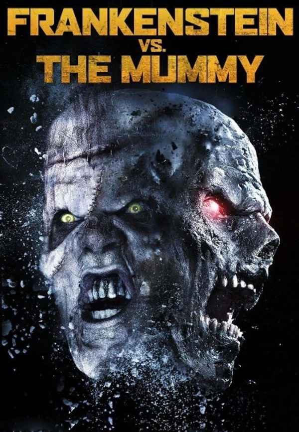 Frankenstein vs The Mummy Poster 7