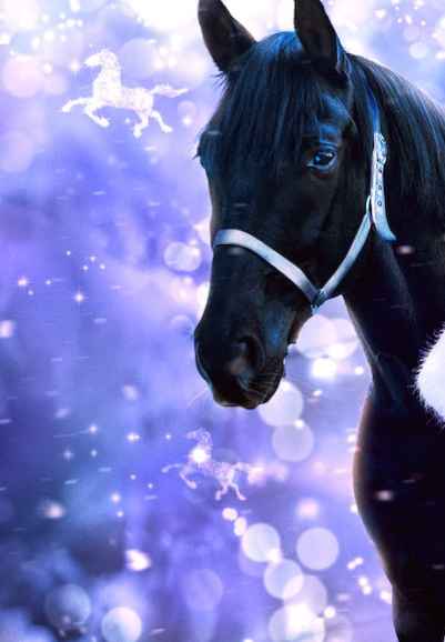 Free Rein: The Twelve Neighs of Christmas