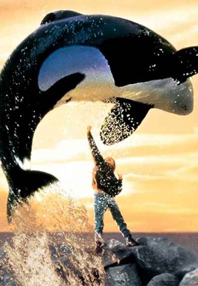 Free Willy