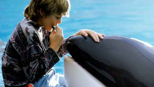 Free Willy Poster 2