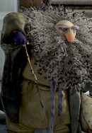 French Roast Poster 3