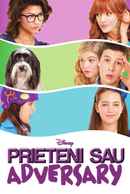 Frenemies Poster 1