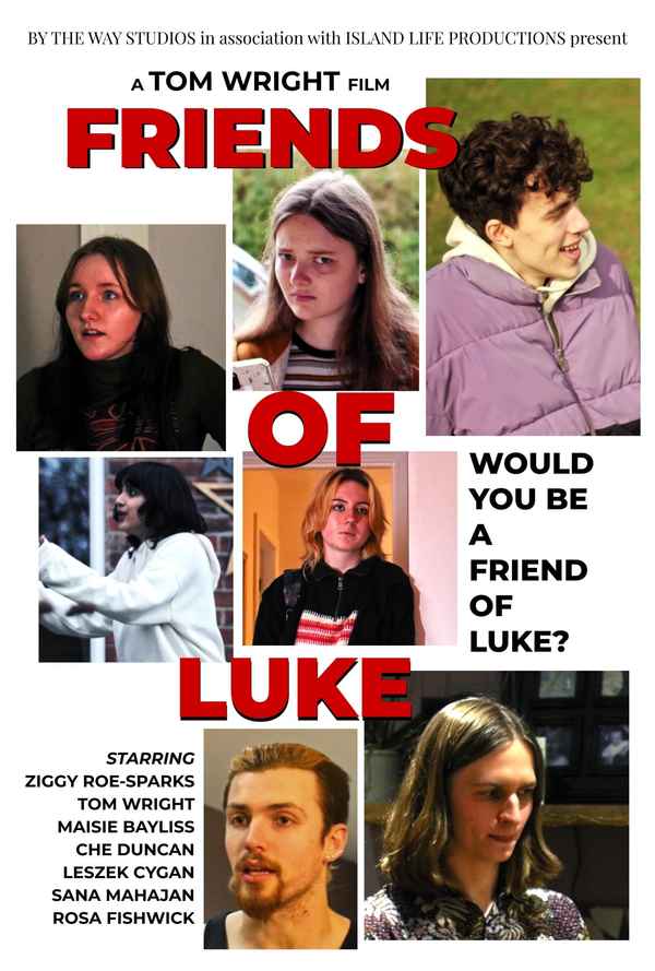 Friends of Luke Poster 3