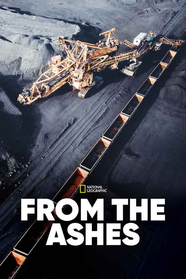 From The Ashes Poster 3