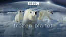 Frozen Planet Poster 7