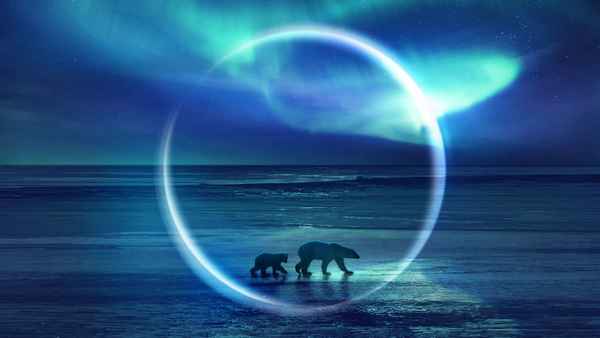 Frozen Planet II Poster 1