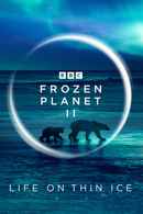 Frozen Planet II Poster 6