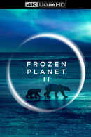 Frozen Planet II Poster 7
