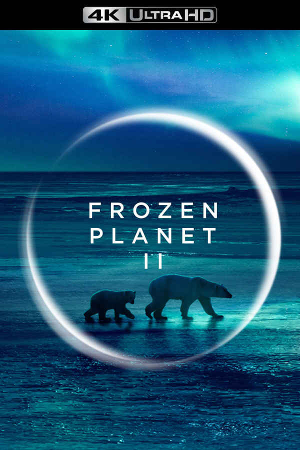 Frozen Planet II Poster 7