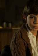 Fugitive Pieces Poster 2