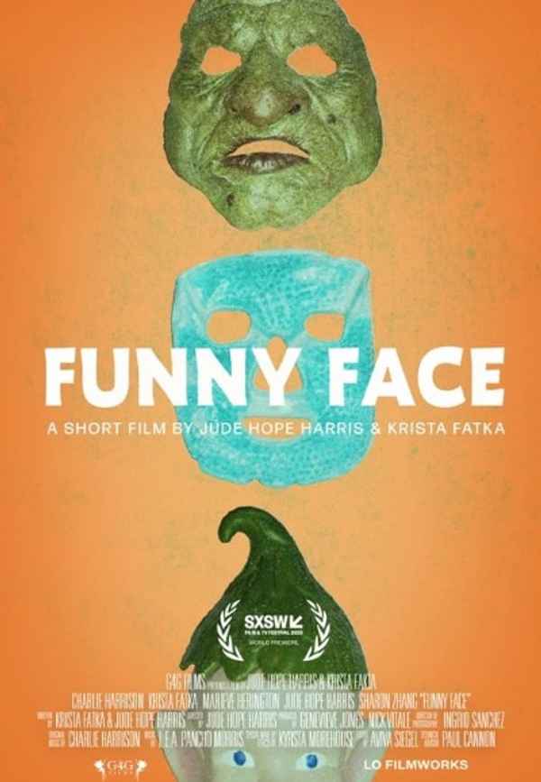 Funny Face Poster 2