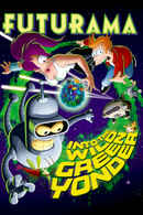 Futurama: Into the Wild Green Yonder Poster 6
