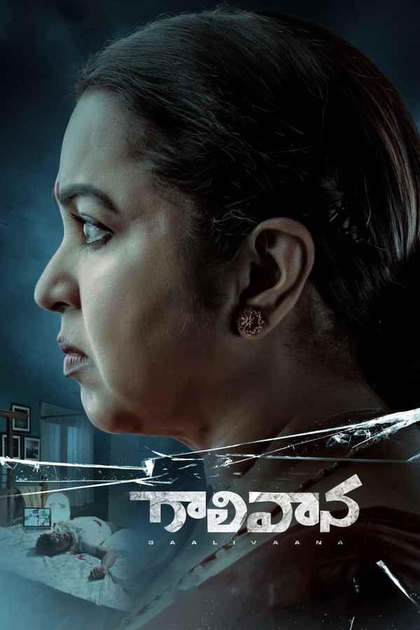Gaalivaana Poster 3