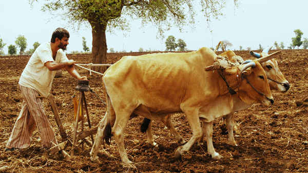 Gabhricha Paus Poster 3