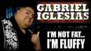 Gabriel Iglesias: I'm Not Fat... I'm Fluffy Poster 5
