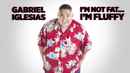 Gabriel Iglesias: I'm Not Fat... I'm Fluffy Poster 2