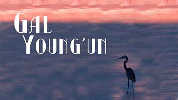 Gal Young 'Un Poster 5