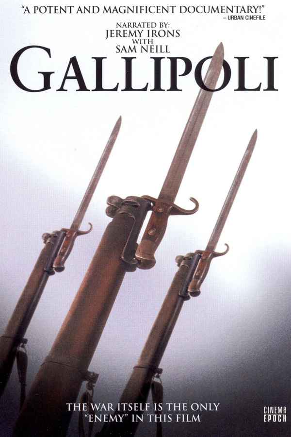 Gallipoli Poster 4