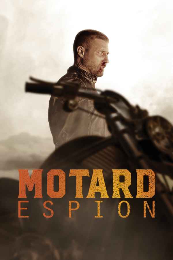 Gangland Undercover Poster 4