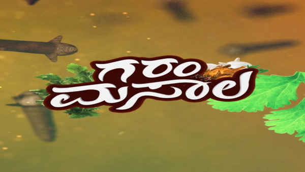 Garam Masala Poster 3