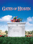 Gates of Heaven Poster 4