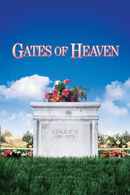 Gates of Heaven Poster 2