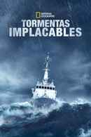 Gathering Storm Poster 5