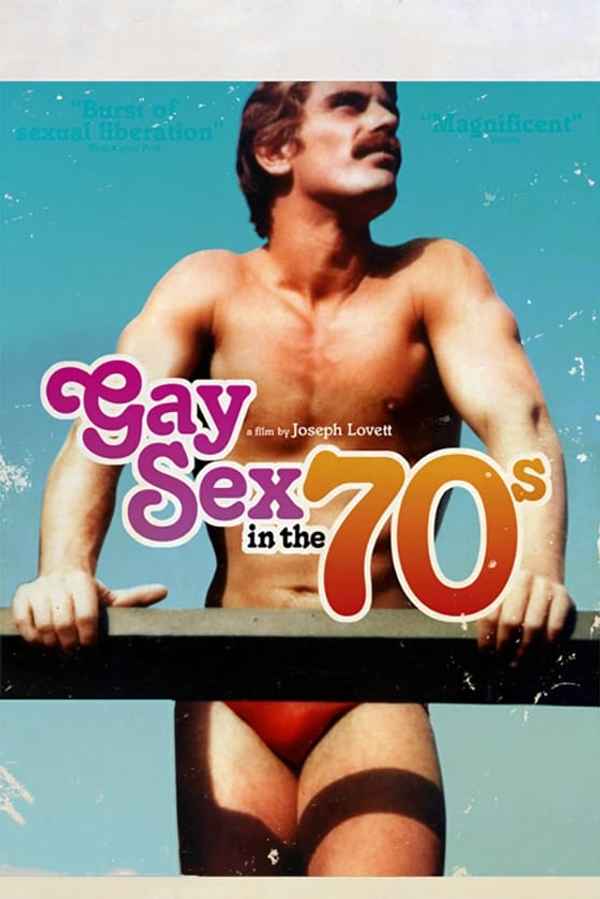 Gay Sex in the 70s Poster 7