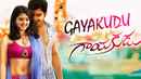 Gayakudu Poster 2