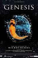 Genesis Poster 7