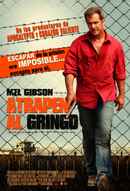Get the Gringo Poster 4